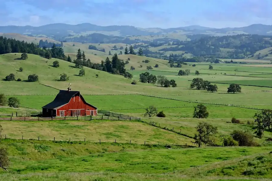 Enzyme-based sanitizers used for attic rodent removal in Corvallis